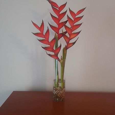 Recanto Da Madeira. Apartment Ribeira Brava Luaran gambar