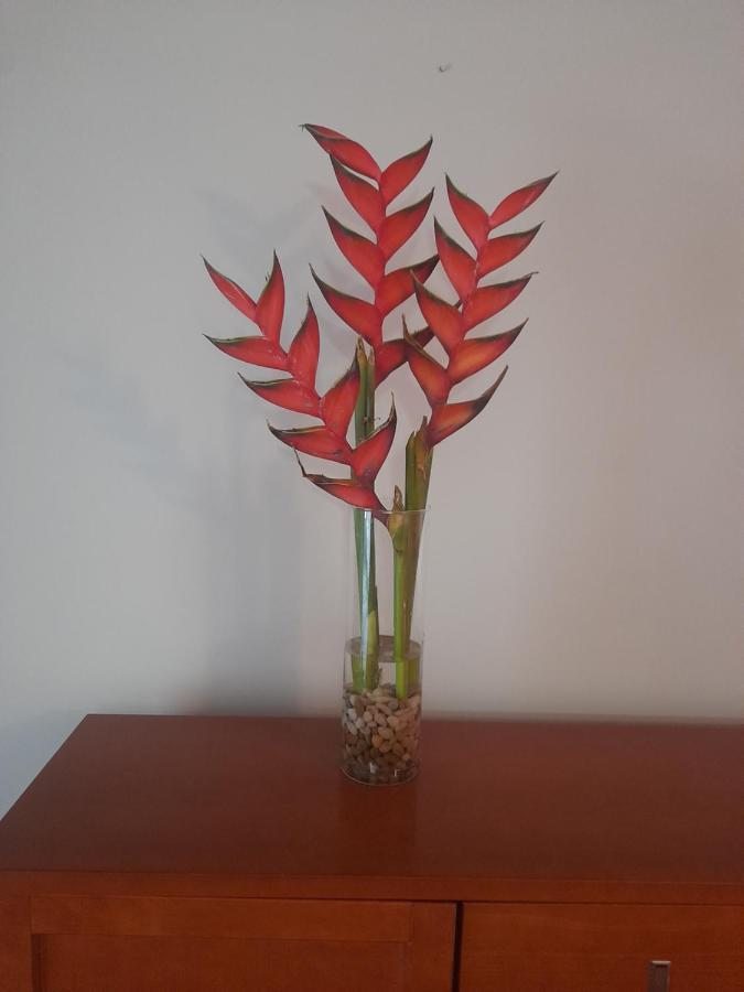 Recanto Da Madeira. Apartment Ribeira Brava Luaran gambar